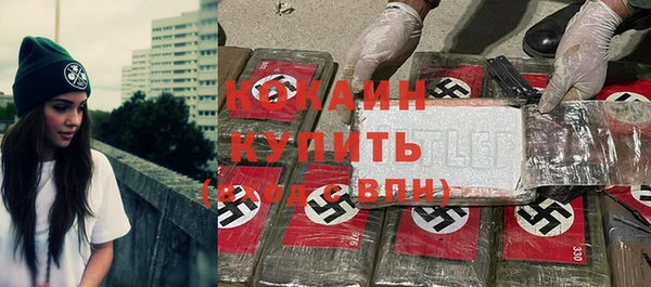 ПСИЛОЦИБИНОВЫЕ ГРИБЫ Верея