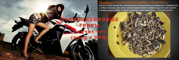 ПСИЛОЦИБИНОВЫЕ ГРИБЫ Верея